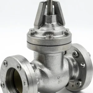 Heavy-Duty In-Line Check Valve